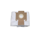 Lot de 10 sacs microfibre pour aspirateur i-team i-vac 5 Lot de 10 sacs microfibre pour aspirateur i-team i-vac 5