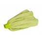 Frange mop espagnol à jupe microfibre verte 140 gr Frange mop espagnol à jupe microfibre verte 140 gr